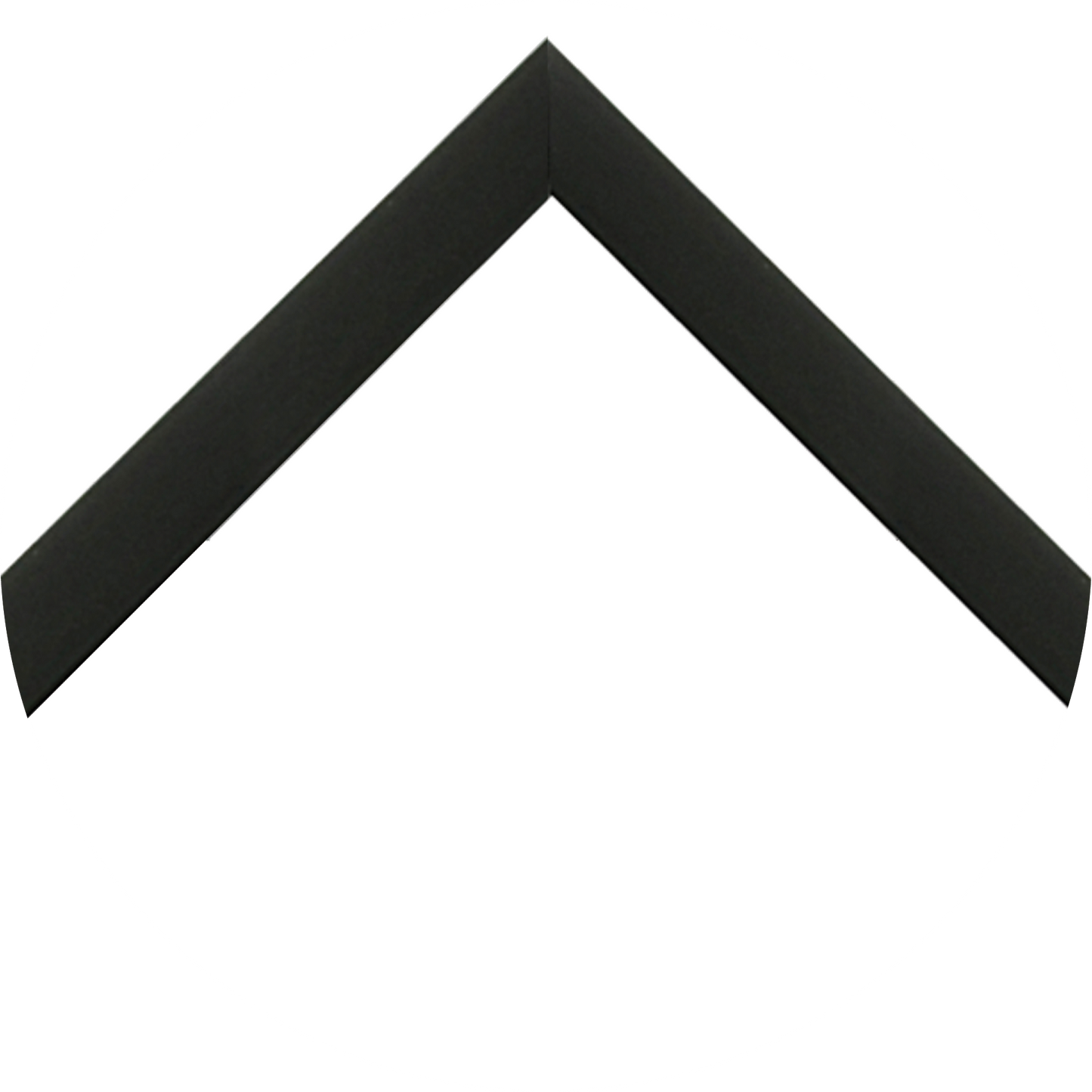 Nielsen Black